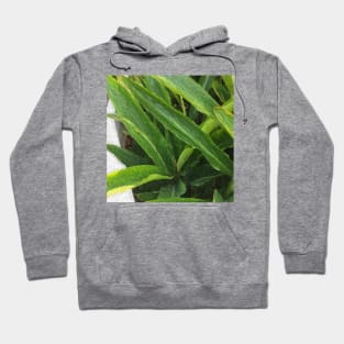 Greens Hoodie